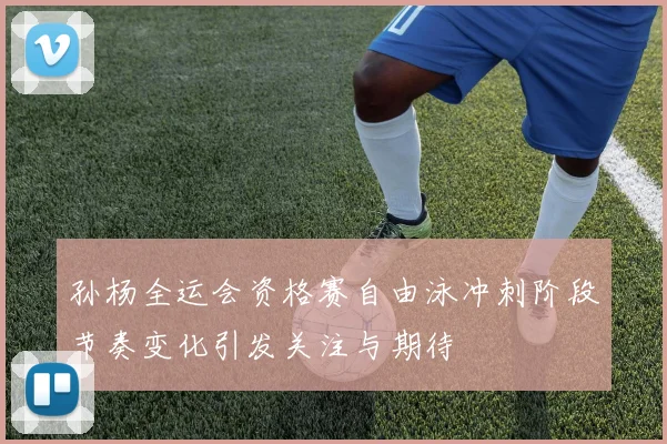 孙杨全运会资格赛自由泳冲刺阶段节奏变化引发关注与期待
