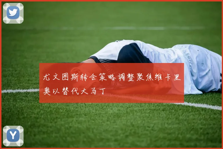 尤文图斯转会策略调整聚焦维卡里奥以替代大马丁